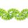 New Orleans Flo Lime